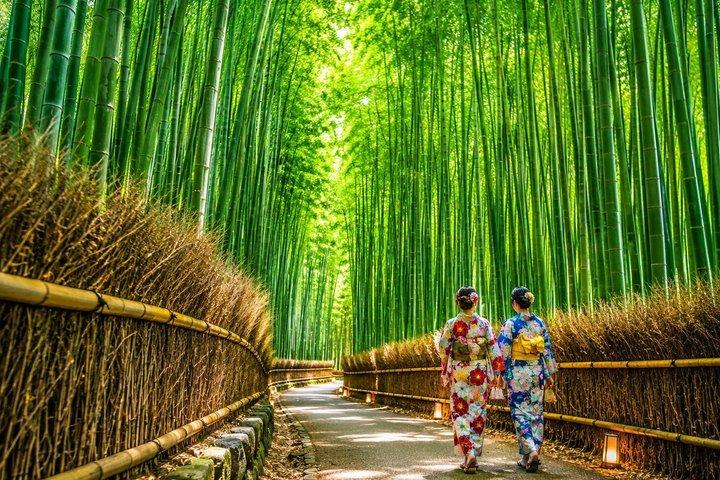 京都嵐山と清水寺抹茶の日帰りツアー