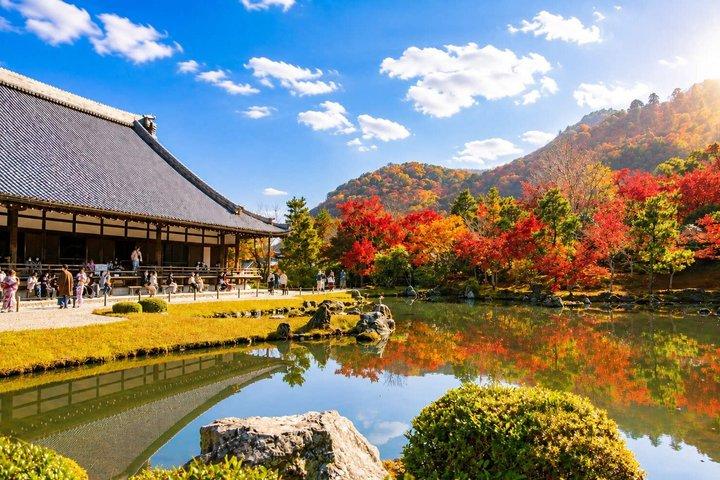 京都嵐山と清水寺抹茶の日帰りツアー