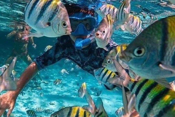 Snorkeling à la Blue Lagoon : L'âme de l'Est de Bali