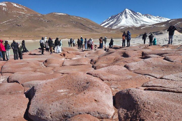 Tour Día Completo a Piedras Rojas, Lagunas Altiplánicas y Chaxa