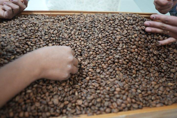 Cusco Specialty Coffee Laboratorium Workshop