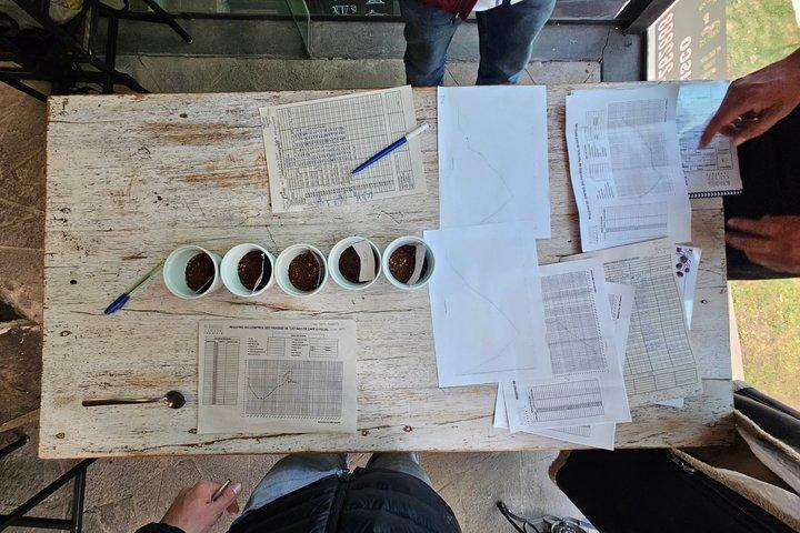 Cusco Specialty Coffee Laboratorium Workshop