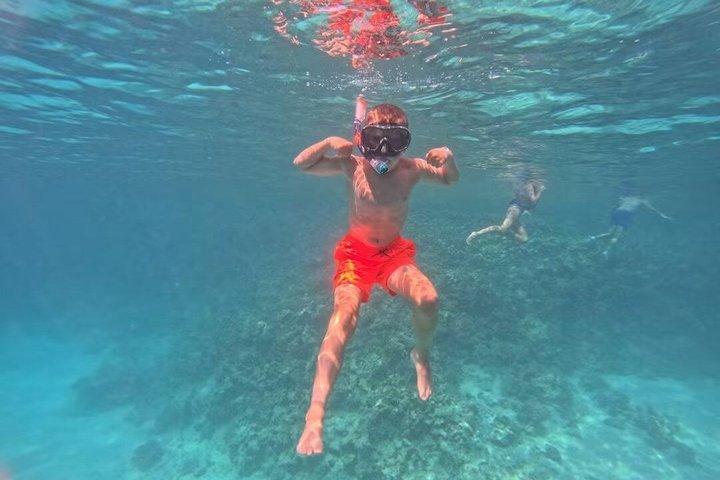 マジェスティックボートトリップ ハウラハウラ島でのシュノーケリングとランチ付き