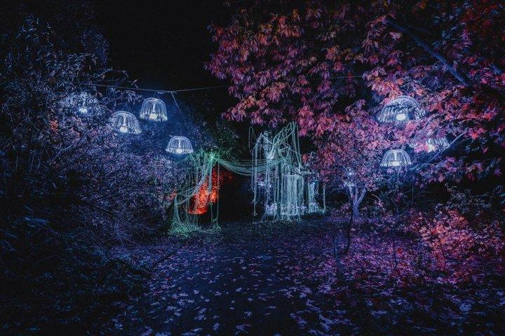 Sofia avondtour met folkloreprogramma en traditioneel diner