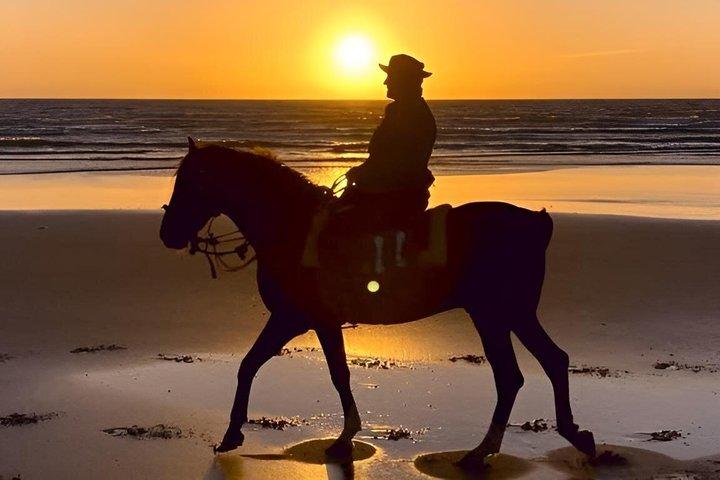 アガディール＆タガザウトでのビーチ乗馬（朝または夕暮れ）