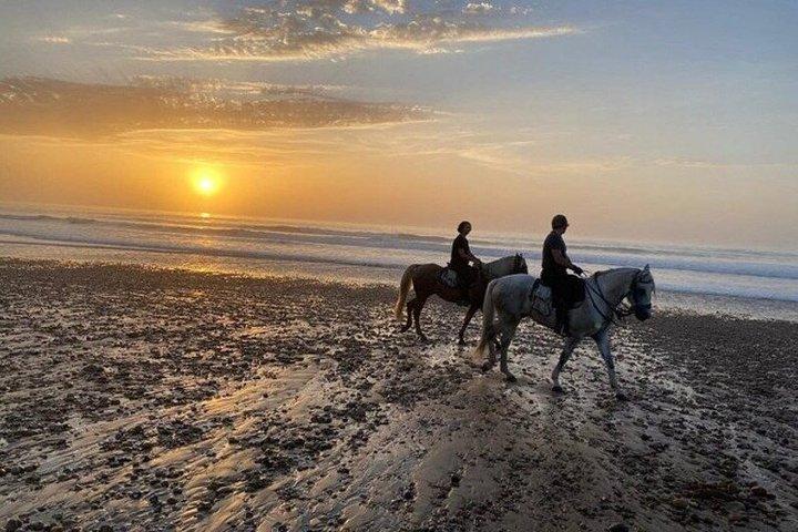 アガディール＆タガザウトでのビーチ乗馬（朝または夕暮れ）