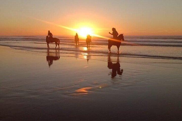 アガディール＆タガザウトでのビーチ乗馬（朝または夕暮れ）