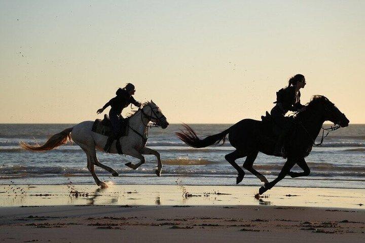 アガディール＆タガザウトでのビーチ乗馬（朝または夕暮れ）