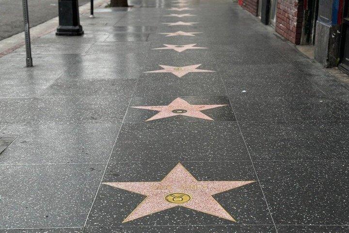 ハリウッド・ウォーク・オブ・フェームと象徴的なランドマーク散策ツアー