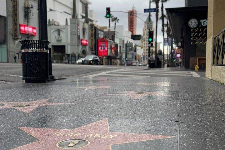 ハリウッド・ウォーク・オブ・フェームと象徴的なランドマーク散策ツアー