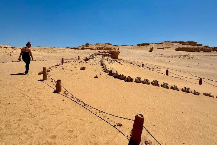 カイロからファイユームオアシスとワディ・エル・ラヤンへの砂漠アドベンチャー