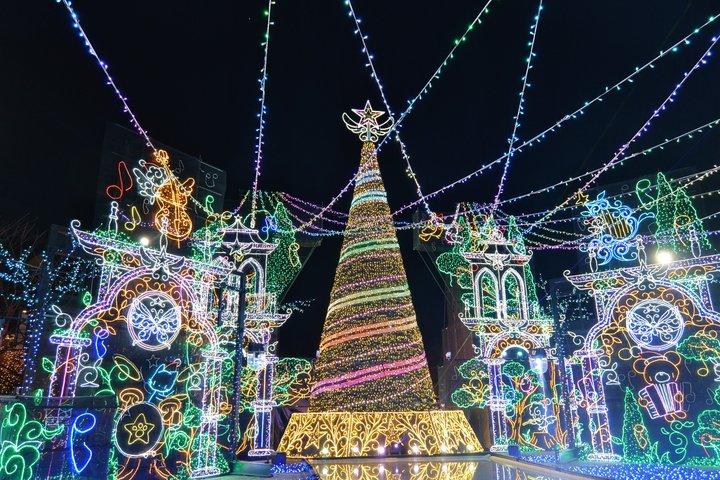 Fuji View Sledding og Sagamiko Illumination Tour fra Tokyo