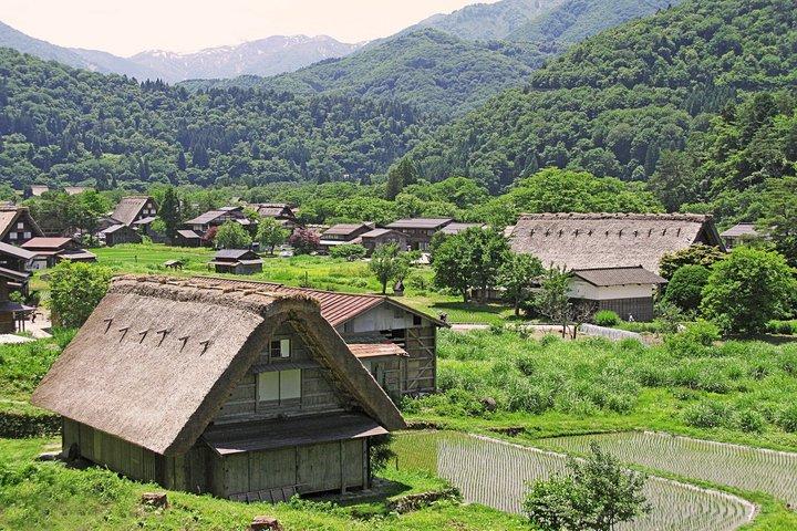Shirakawa go World Heritage Village Private Tour from Nagoya