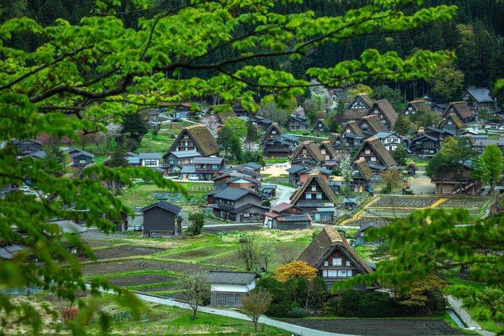 名古屋発 白川郷世界遺産プライベートツアー