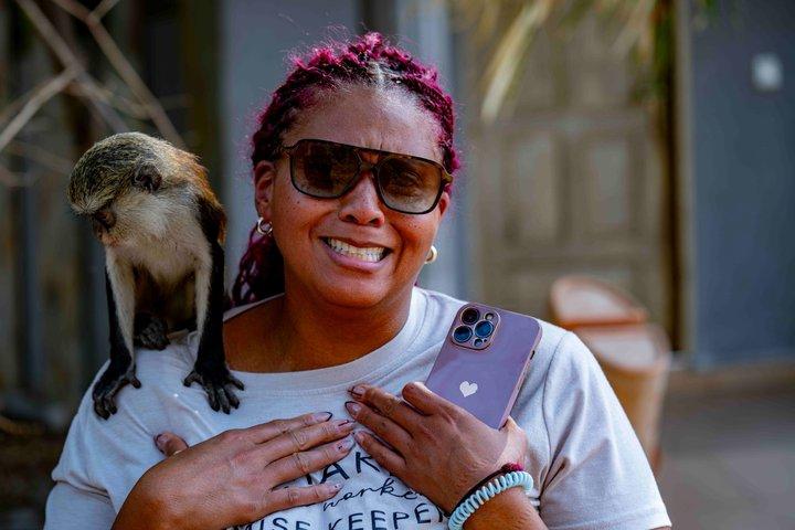 Wli Waterfall and Tafi Atome Monkey Sanctuary (Day Visit)