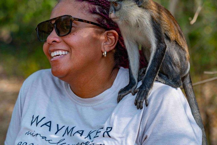 Wli Waterfall and Tafi Atome Monkey Sanctuary (Day Visit)