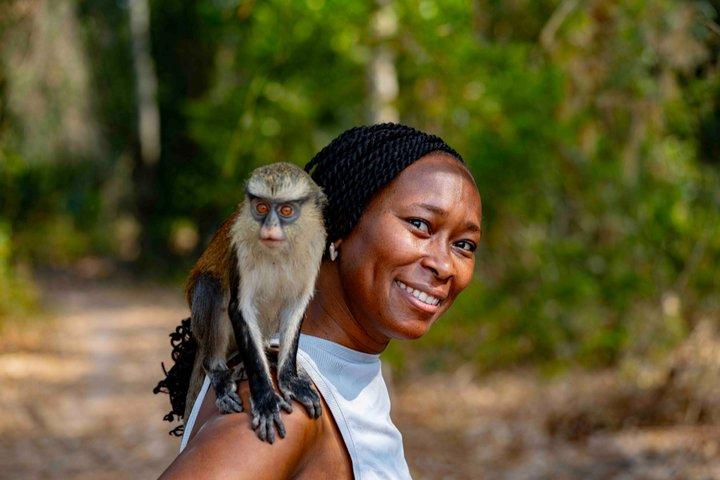 Wli Waterfall and Tafi Atome Monkey Sanctuary (Day Visit)