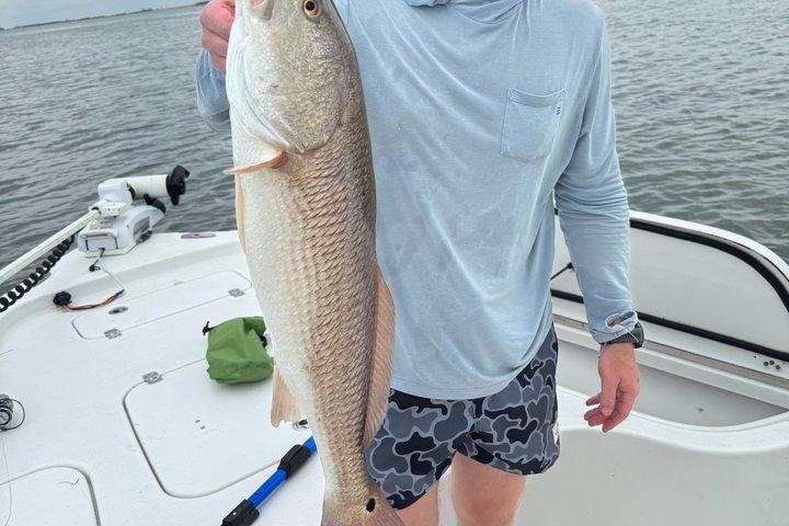 5 Hour Fishing Charter in St. Pete