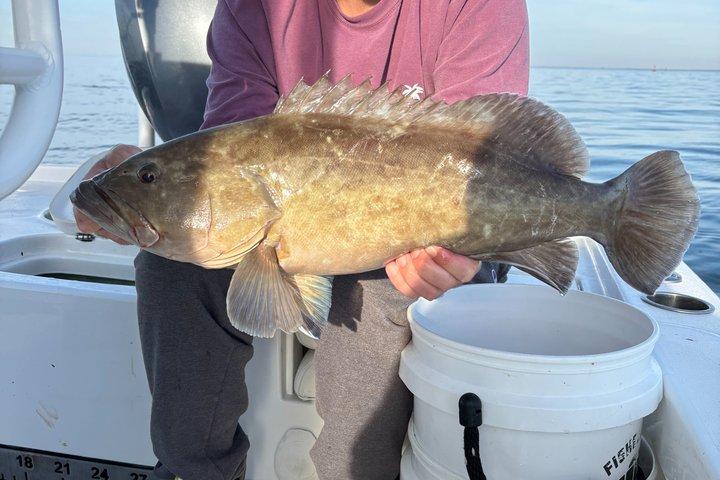 Fishing Adventure in St. Pete