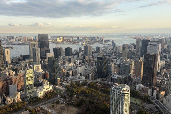 地元の日本語ガイドによる厳選プライベート東京ツアー