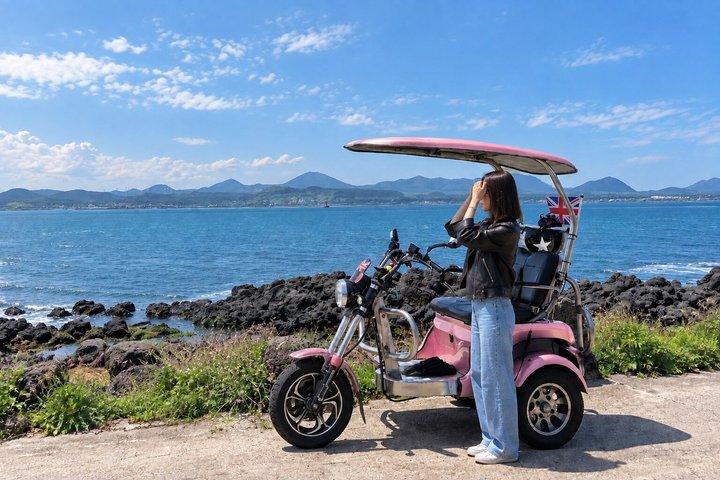 Jeju Udo Island, Seongsan and Tangerine Picking Day Tour