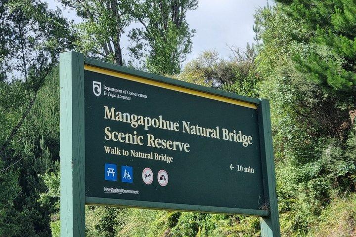 オークランド発 ワイテモ・グローワーム洞窟と北島自然ツアー