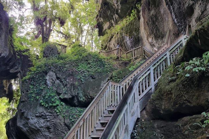 オークランド発 ワイテモ・グローワーム洞窟と北島自然ツアー