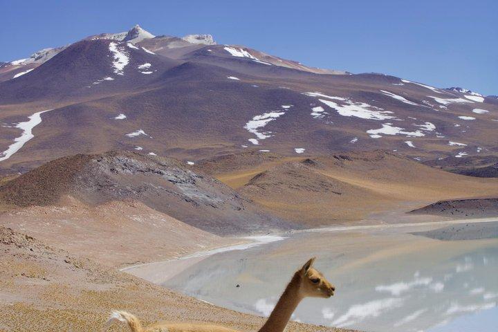 Escursioni personalizzate a San Pedro de Atacama