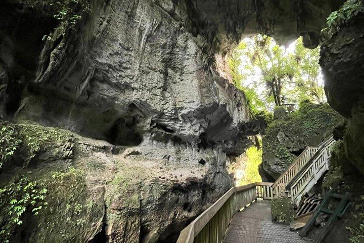 オークランド発 ワイテモ・グローワーム洞窟と北島自然ツアー