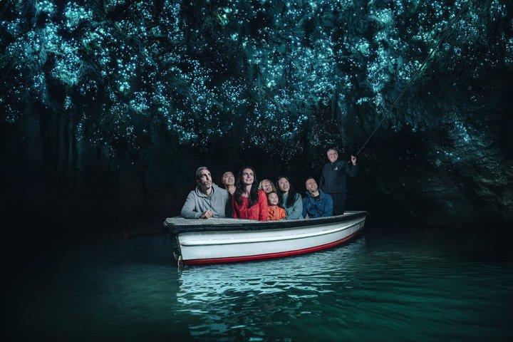 Waitomo Glowworm Caves and North Island Nature Tour from Auckland