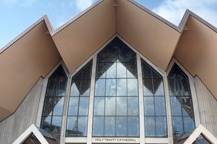 プライベートオークランド博物館とハイライト観光ツアー