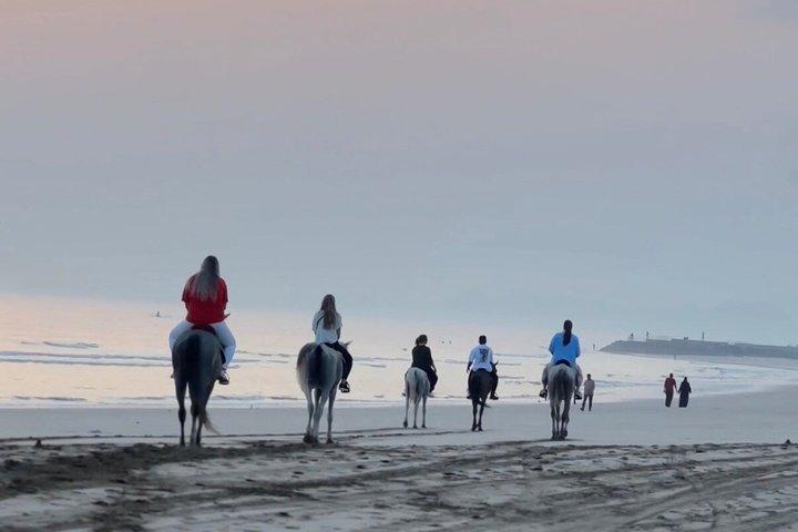マスカットビーチで乗馬