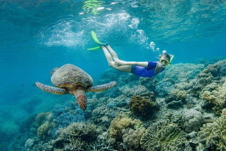 Sunlover Reef Cruises Cairns Great Barrier Reef Experience