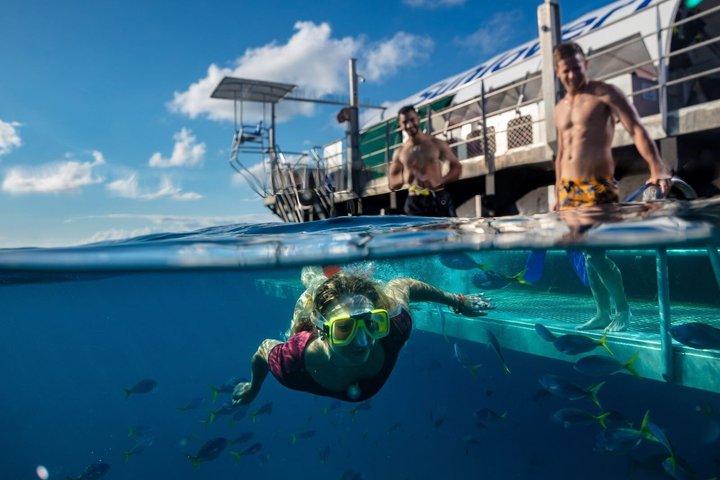 Sunlover Reef Cruises Cairns Great Barrier Reef Experience