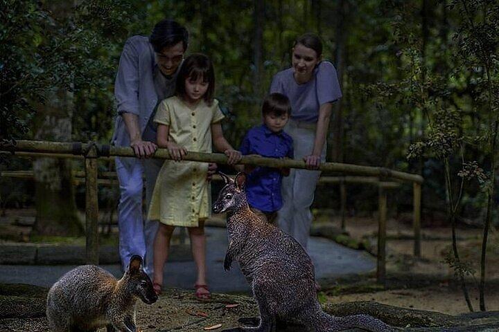 シンガポール・ナイトサファリ入場券とトラムライド