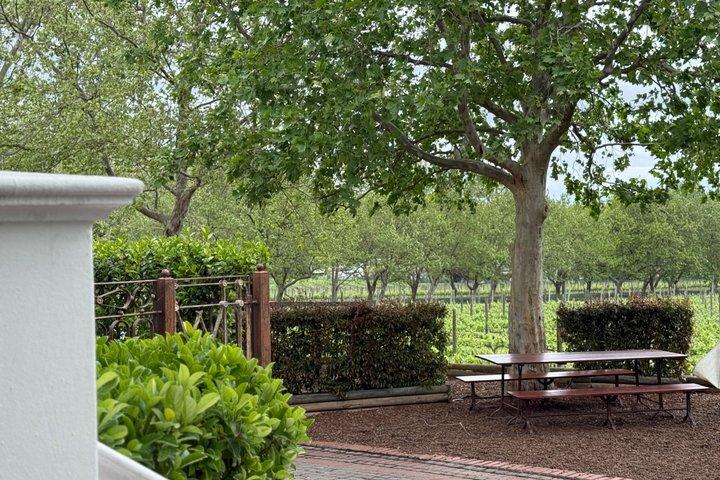 ケープ・ワインランドズ セグウェイツアーとステレンボッシュでのワインテイスティング