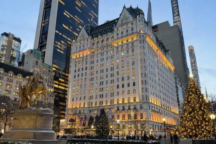 ニューヨーク クリスマスライトプライベートツアー：ロックフェラー、第五大道