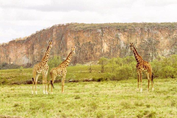 ヘルズゲート国立公園とナイヴァシャ湖への日帰り旅行