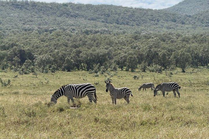 ヘルズゲート国立公園とナイヴァシャ湖への日帰り旅行