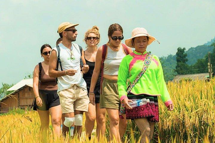 Sapa Trekking Tour to Rice Terraces and Villages