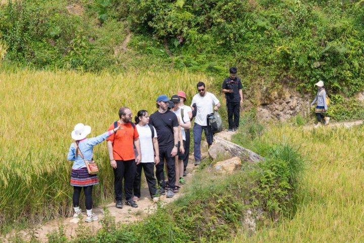 Tour di Trekking a Sapa tra Risoio e Villaggi