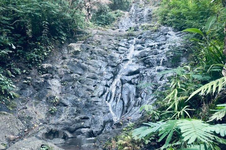 シデメンプライベートツアー：ラフティングとジェムブレング滝