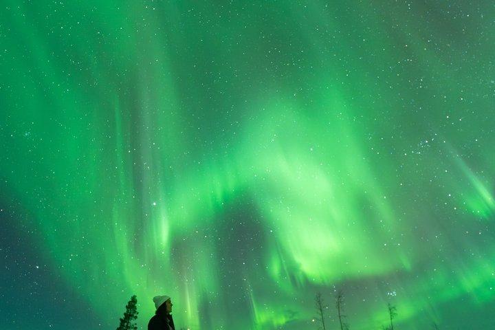 Rovaniemi : オーロラ - 無料写真、100％返金保証