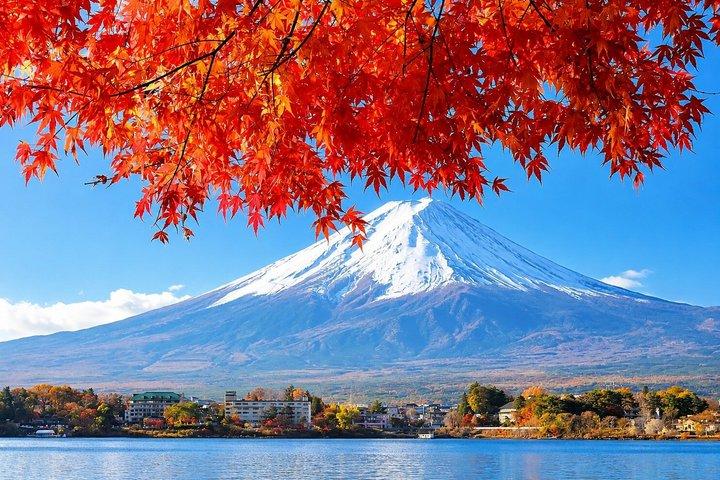 Lake Kawaguchi ⇔ Tokyo Bus Tickets