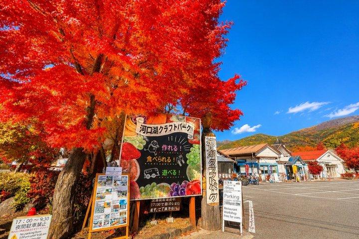 Lake Kawaguchi ⇔ Tokyo Bus Tickets
