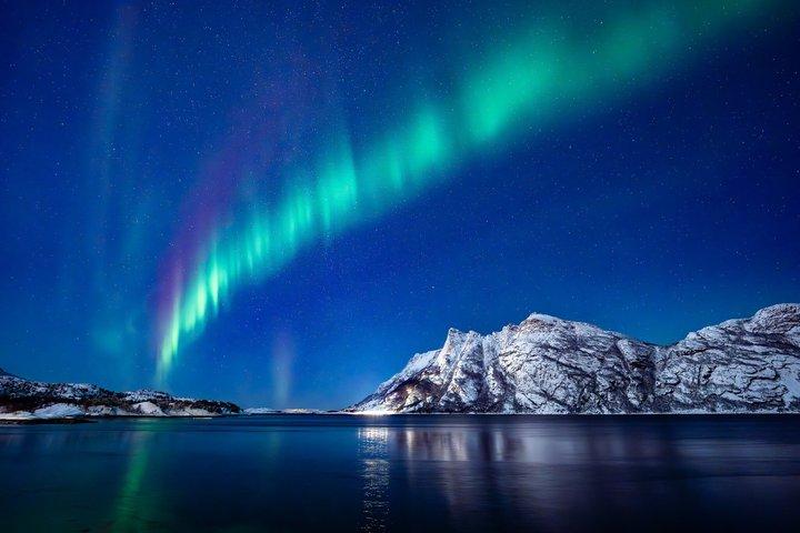 Northern Lights Tours Bodo Norge