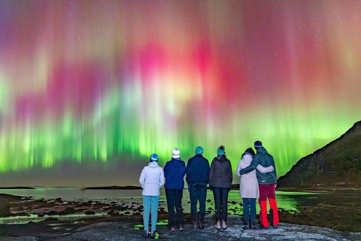 Northern Lights Tours Bodo Norge