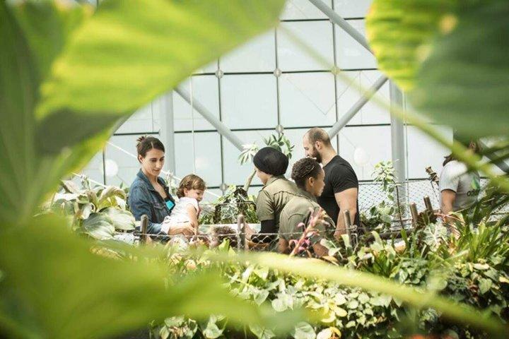 O Ingresso do Planeta Verde em Dubai