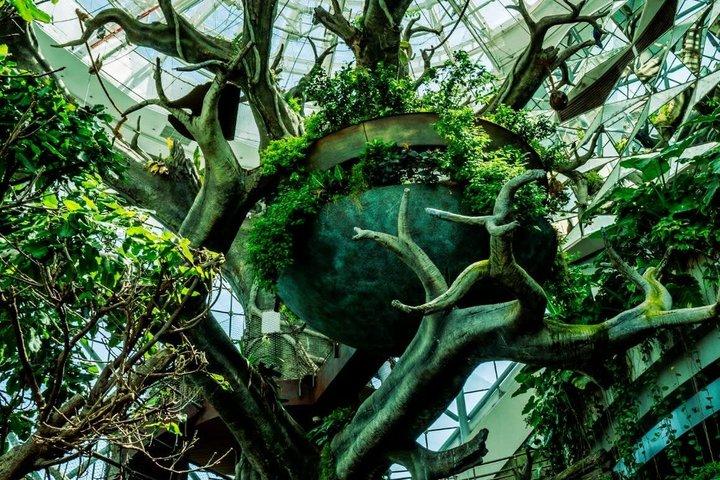 O Ingresso do Planeta Verde em Dubai