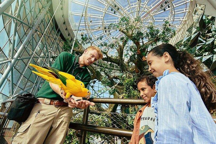 O Ingresso do Planeta Verde em Dubai